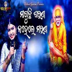 Maguchi Sarana Nahele Marana